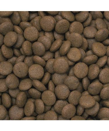 Premium Lamb and Rice Dog Food for Adults of Medium and Large Breeds 12kg - Buy Online on GoSupps.com