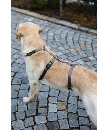 Kerbl 80040 Escape-Proof Panic Harness - Grey 38-52cm | International Shipping Available - Buy Online on GoSupps.com