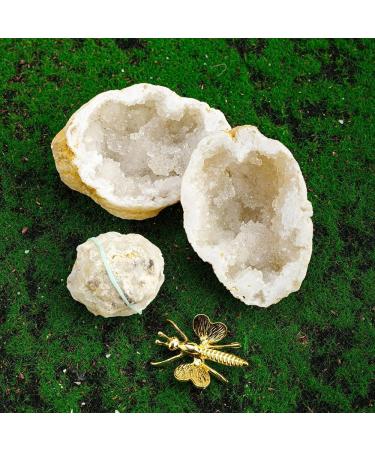 CIMWJOPS Natural Crystal White Agate Druzy Cave Crystal Geode Stone Raw Crystal Cluster 100-150g 1pair - Buy Online on GoSupps.com