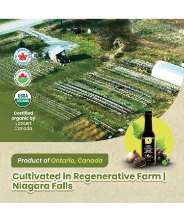 TUCAN HOLISTIC Organic Black Garlic Balsamic Vinegar | Sweet Artisan-Crafted No Added Sugar | Vegan & Gluten-Free | 125ml Premium Glass Bottle | Sourced from Ontario s Regenerative Farm | Perfect for Salads Marinades & Grilled Vegetables | Small-Batch Loc - Buy Online on GoSupps.com