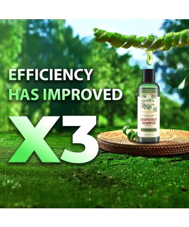 ABERA Folliculitis Shower Gel with Wild Bitter Melon Extract BHA Shower Gel Reduces Back Acne & Hyperkeratosis Smooth Texture 10.14 fl oz 3 Boxes + Gift Hair Regrowth Shampoo - Buy Online on GoSupps.com