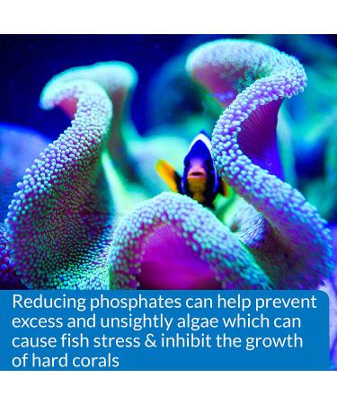 API Phosphate Test Kit for Freshwater and Saltwater - Accurate Water Quality Testing - Buy Online on GoSupps.com