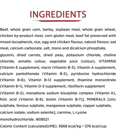 Beneful IncrediBites Dry Dog Food for Small Dogs Real Beef - 7 kg Bag - Buy Online on GoSupps.com