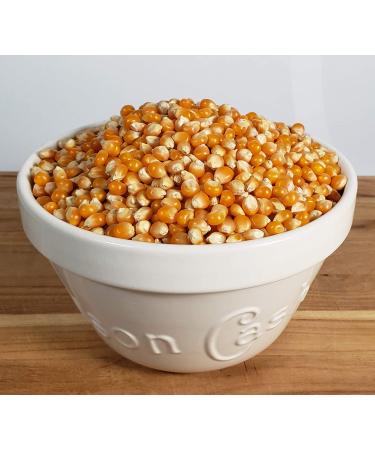 Mushroom Popcorn Kernels - 32oz Non GMO Gluten Free Popping Corn by Princeton Popcorn Farm - Ball Shaped & Extra Large - Perfect for Air Popper & Stovetop - 2lb Pack - Buy Online on GoSupps.com