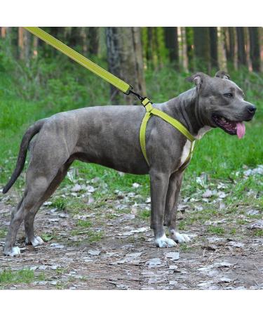 Collardirect Adjustable Reflective Dog Harness - Sizes S M L | Outdoor Walking Gear for Dogs & Puppies in Pink Black Red Purple Mint Green Orange Blue - Buy Online on GoSupps.com