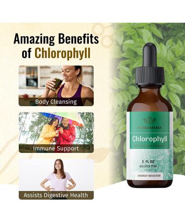 HERBAMAMA Chlorophyll Liquid Drops - Energy Booster for Digestion & Immune Support - Vegan Sodium Copper Chlorophyllin Extract - 2 fl. Oz - Buy Online on GoSupps.com