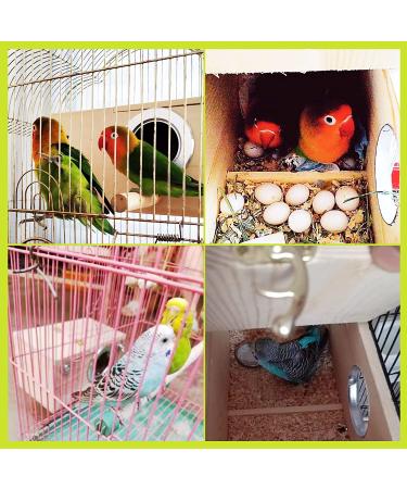 Parakeet Nest Box for Breeding | Budgie, Cockatiel, Lovebird & Parrot Mating House | Perfect for Large & Medium-Sized Birds - S Size (7.87 x 4.72 x 4.72 inch) - Buy Online on GoSupps.com