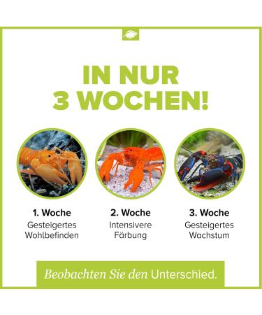 NatureHolic - Cheraxfeed Adult - Food for crayfish in Aquarium - 30g - Buy Online on GoSupps.com