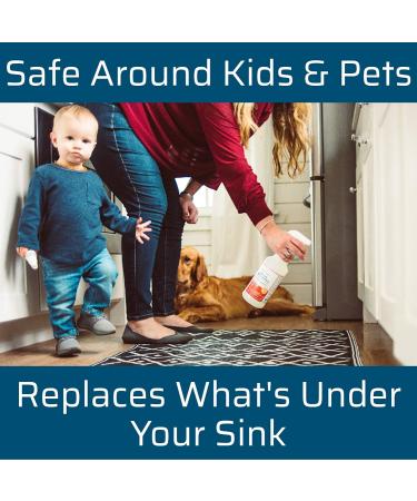 Wondercide Natural Products - Indoor Pest Control Spray for Home and Kitchen - Fly Ant Spider Roach Flea Bug Killer and Insect Repellent - Eco-Friendly Pet and Family Safe  32 oz Peppermint Peppermint 32 Fl Oz (Pack - Buy Online on GoSupps.com