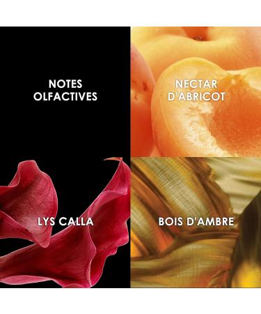 Shop Britney Spears Prerogative Fragrance Mist Spray 8.0 oz - International Shipping Available - Buy Online on GoSupps.com