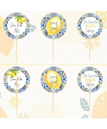 AnyDesign 24Pcs Blue White Tiles Lemon Cupcake Topper Sweet Fruit Theme Summer Lemonade Cupcake Picks for Wedding Engagement Bridal Shower Bachelorette Party Decorations - Buy Online on GoSupps.com