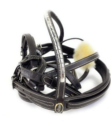 Horses Brown Costa Rey Braun Cob - Premium Internationally Shipped Equestrian Gear - Buy Online on GoSupps.com