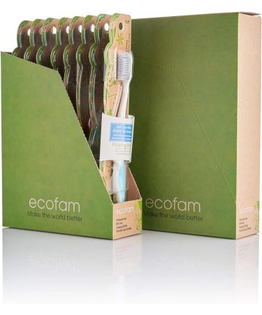 XYLOBURST Ecofam Adult Silver Toothbrush 0.02 Pound - Buy Online on GoSupps.com
