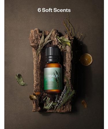 Top 6 Essential Oils Set - Lavender, Eucalyptus, Peppermint, Tea Tree, Lemongrass, Sweet Orange - 10ml Pure Aromatherapy Oils Kit for Skin & Hair Care. Great for Diffusers - 0.34 Fl Oz (Pack of 6) - Buy Online on GoSupps.com