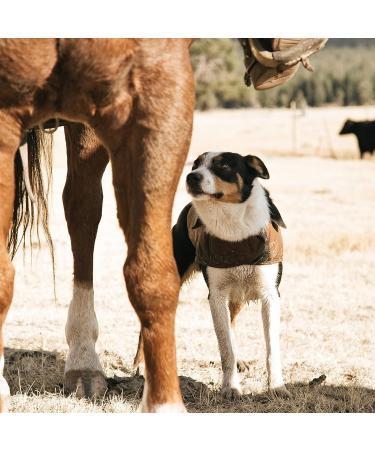 Shop Carhartt Men's Firm Duck Insulated Dog Chore Coat - Large Tarmac/Duck Camo | International Shipping Available - Buy Online on GoSupps.com