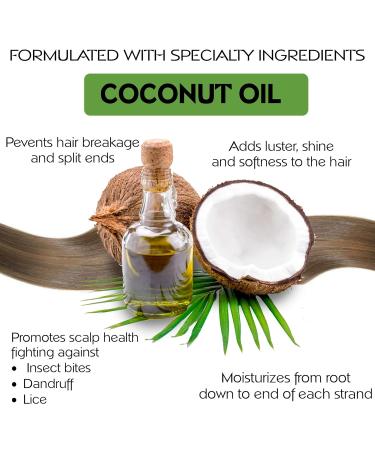 Moisture Renewal Anti Dandruff Shampoo & Conditioner Set | Organic Itchy Scalp Treatment for All Hair Types - 100% Natural & Safe - Buy Online on GoSupps.com