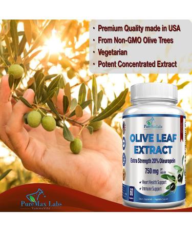 Premium Olive Leaf Extract 750mg - 20% Oleuropein - Vegetarian Capsules for Immune Support & Antioxidant Boost - Non-GMO - Buy Online on GoSupps.com