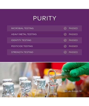 Gaia Herbs Bronchial Wellness Syrup for Kids - 3 fl oz | Natural Cough Relief - Buy Online on GoSupps.com