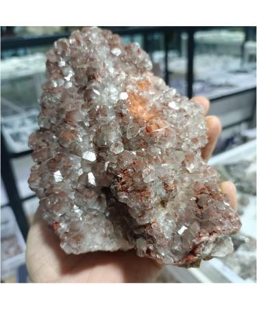 Crystal Cluster Natural Mushroom Calcite Quartz Crystal Specimen Ment Home Degaussing Decoration Gem Gift ningxiao (Size : 800-900g) - Buy Online on GoSupps.com