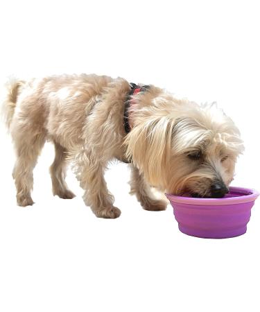 Prima Pet Collapsible Silicone Travel Bowl for Dog and Cat - Small (1.5 Cups) - Purple - Buy Online on GoSupps.com