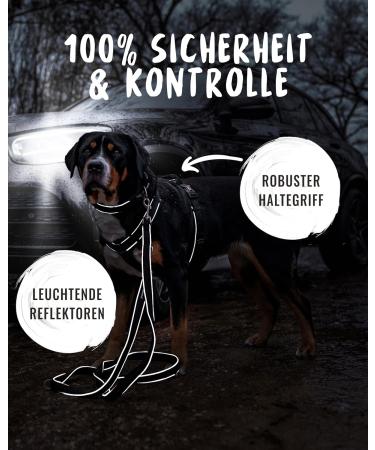 Rudel King Dog Harness Paola - Reflective Adjustable Harness for Small & Medium Dogs - M Black with Handle - Buy Online on GoSupps.com