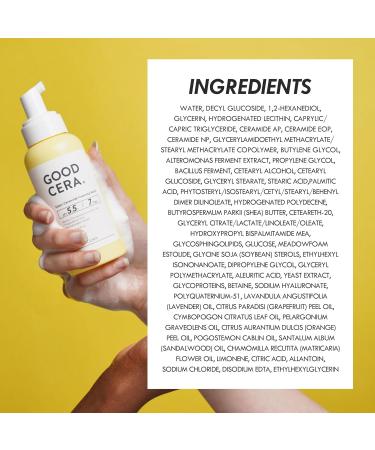 Buy Holika Holika Good Cera Super Ceramide Foaming Wash 60ml Best International Shipping | Organic Skin Care - Buy Online on GoSupps.com