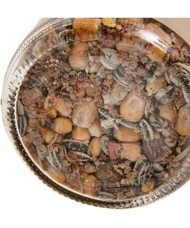Buy SIDCO Squirrel Food 200g | Peanut Butter Nuts Mix Refill Jar for Happy Squirrels - International Shipping Available - Buy Online on GoSupps.com