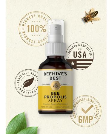 Carlyle Bee Propolis Throat Spray | 2 fl oz | Source of Antioxidants | Bioactive Supplement | Non-GMO | by Beehive's Best - Buy Online on GoSupps.com