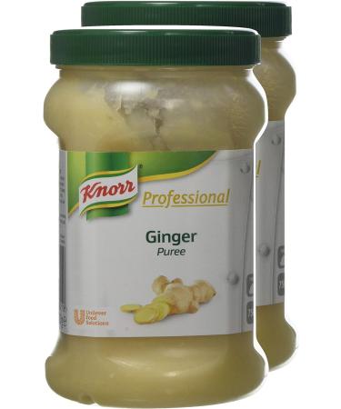 Knorr Professional Ginger Puree 750g - Premium Quality Ingredient for Culinary Creations - Buy Online on GoSupps.com