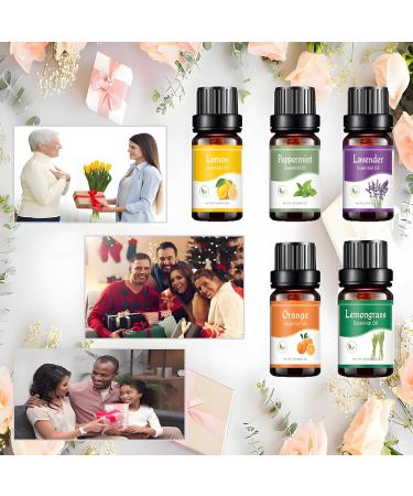 Essential Oils Set - 5 Blends for Diffusers Home Care Candle Making Scents Fragrance Aromatherapy Humidifiers Gifts - Peppermint Lemongrass Lavender Lemon Orange (5pcs) - Buy Online on GoSupps.com