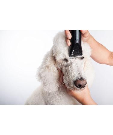 Wahl Arco Cordless Clipper - Buy Online on GoSupps.com