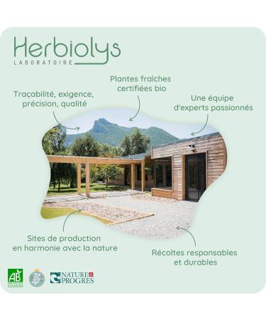 Organic Plane Bud Macerate | Bottle of 50 ml | Herbiolys - Buy Online on GoSupps.com