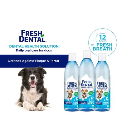 Naturel Promise Fresh Dental Water Additive for Dogs - 18 fl oz, 3 Pack - Easy Dental Health Solution, Cleans Teeth, Freshens Breath up to 12 Hours - No Brushing Needed - Buy Online on GoSupps.com