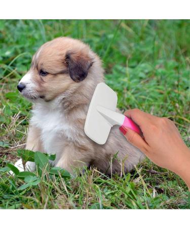 Pet Brush & Nail Clipper Set - Grooming Dogs Cats & Pets, Remove Mats, Reduce Shedding, Comfortable Grip - Large & Small Sizes - Buy Online on GoSupps.com