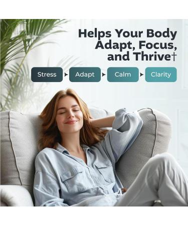 Big Valley Labs Advanced Stress Support Holy Basil Shoden Ashwagandha AlphaWave L-Theanine PharmaGABA Cacao Theobromine Calm & Clarity Formula Vegan Non-GMO Gluten-Free 60 Capsules - Buy Online on GoSupps.com