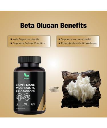 Mishas Lions Mane Supplement - Organic Lions Mane - Brain Health Support - Mushroom Support for Focus & Memory, Immune & Nervous Function System Women & Men - 60 Vegan Capsules - Buy Online on GoSupps.com