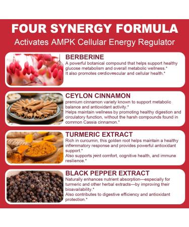 Dr.hillma Berberine Supplement 1500mg High Bioavailability Berberine HCL with Ceylon Cinnamon Supports Metabolic & Overall Wellness Gluten Free Non-GMO 90 Capsules - Buy Online on GoSupps.com