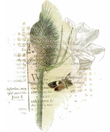 Greenery Overlay Rice Paper 8x10.5 inch - 6 Different Printed Mulberry Paper Images for Decoupage Crafts and Mixed Media Art - Buy Online on GoSupps.com