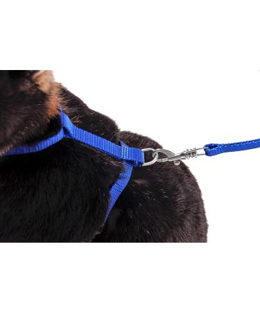 Karlie Art Sportiv Plus Rabbit Harness & Leash - Size L (140 cm x 10 mm) - Blue | International Shipping Available - Buy Online on GoSupps.com
