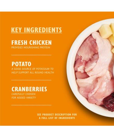 Lily's Kitchen Made with Natural Ingredients Adult Dry Cat Food Bag Chicken with Veggies Grain-Free Recipe 2kg Chicken Casserole 2 kg (Pack of 1) - Buy Online on GoSupps.com
