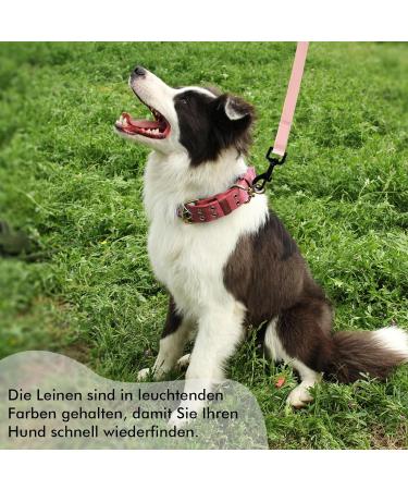 Pink 15m Tag Trag Leash for Dogs - Waterproof Drag Line with Handle & D-Ring | Perfect for Small & Medium Breeds - Easy to Clean Training Leash - Buy Online on GoSupps.com