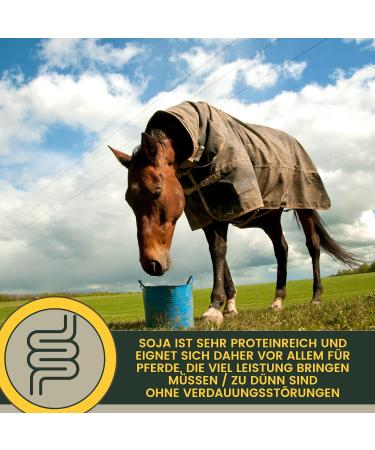 Soybean meal horse I Dietary supplement for musculature skeleton vitality I Amino acids horses Muscle muscle Soy protein I Vitamin BE complex Zinc Biotin Selenium horse 6 kg - Buy Online on GoSupps.com