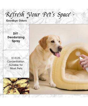 HIQILI Vanilla Fragrance Oil for Body Spray Diffuser Use Essential Oil for Candle Soap and Women Perfume Making - 1 Fl Oz Gourmand-Vanilla 1 Fl Oz (Pack of 1) - Buy Online on GoSupps.com