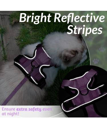 Rabbitgoo Cat Dishes & Harness Sets | Premium Cat Accessories for Happy Pets - Buy Online on GoSupps.com