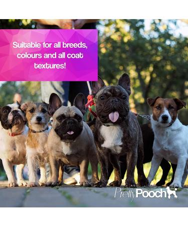 Pretty PoOch Gentle Touch Shampoo & Conditioner for Dogs | Non-Itchy Deep Cleaning for Sensitive Skin | 4L Baby Powder Fragrance - Buy Online on GoSupps.com