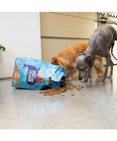 Edgard & Cooper Adult Dog Food 12kg Fresh Norwegian Salmon - Grain Free & Fresh Meat - Buy Online on GoSupps.com