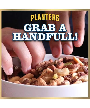 PLANTERS Deluxe Lightly Salted Mixed Nuts - 15.25 oz Resealable Container | Reduced Sodium, Vegan, Kosher Snacks - Buy Online on GoSupps.com