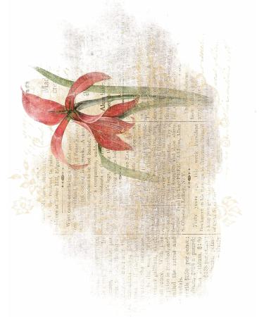 Flower Overlay Rice Paper - 8x10.5 inch, 6 Different Printed Images, 30gsm Mulberry Paper for Decoupage Crafts - Buy Online on GoSupps.com