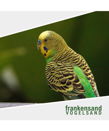 M ller GmbH 12 KG Vogelsand - Additive-Free Germ-Free Light Gray Cage Bottom for Birds - High Quality Medium Size - Buy Online on GoSupps.com