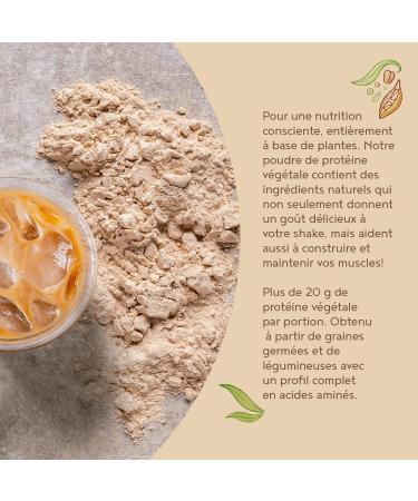 LIMITED EDITION Vegan Proteine en Poudre 600g | Caf Cr me | 18g Protein | Pois Riz & Tournesol | Pre/Post Workout Proteines Musculation | Prot ine Powder | Shake de Prot ines | Alpha Foods - Buy Online on GoSupps.com
